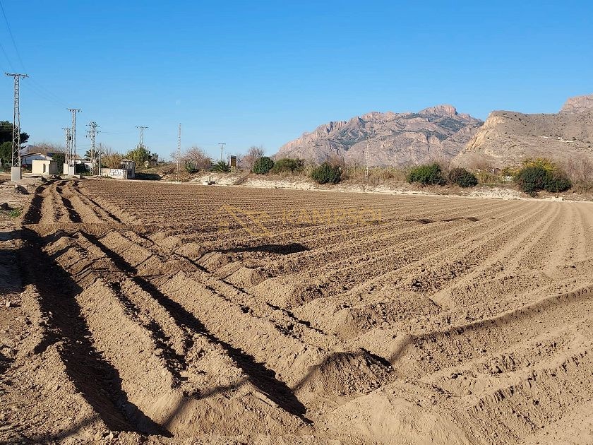 Finca with Land in Orihuela